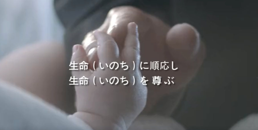 平博pinnacle集团形象片（日本語）