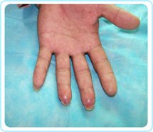 首页- 平博pinnacle888公司官网