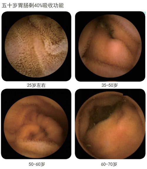 首页- 平博pinnacle888公司官网