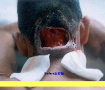 首页- 平博pinnacle888公司官网