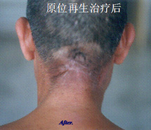 首页- 平博pinnacle888公司官网