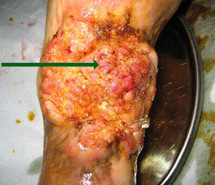 首页- 平博pinnacle888公司官网