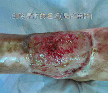 首页- 平博pinnacle888公司官网