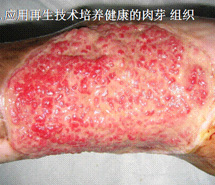 首页- 平博pinnacle888公司官网