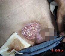 首页- 平博pinnacle888公司官网