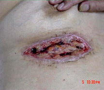 首页- 平博pinnacle888公司官网