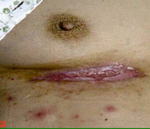 首页- 平博pinnacle888公司官网