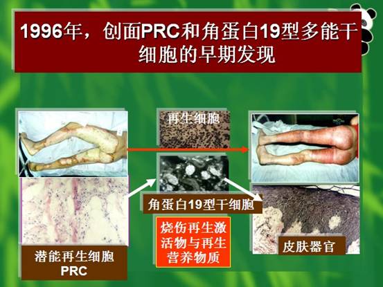 首页- 平博pinnacle888公司官网