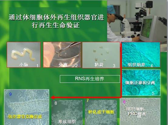 首页- 平博pinnacle888公司官网