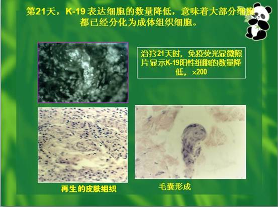 首页- 平博pinnacle888公司官网