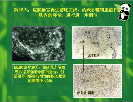 首页- 平博pinnacle888公司官网