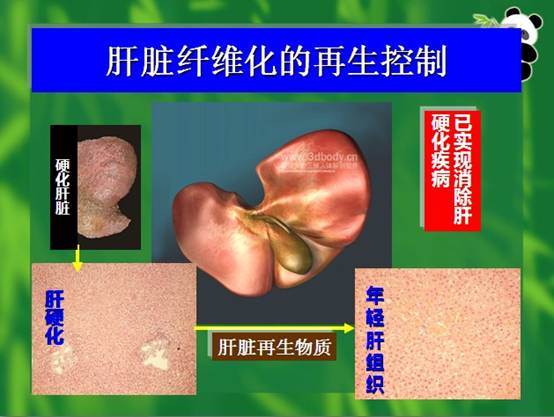 首页- 平博pinnacle888公司官网