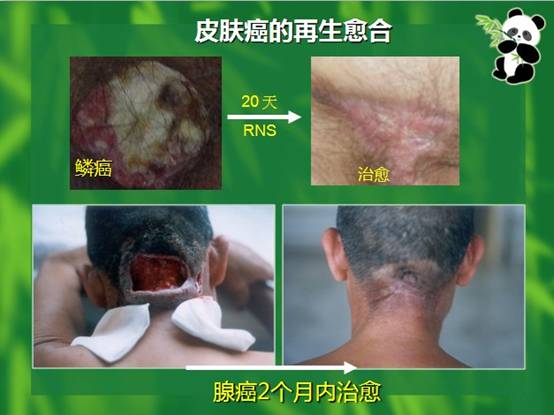 首页- 平博pinnacle888公司官网