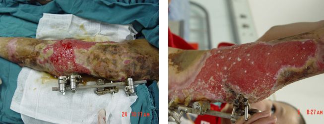 首页- 平博pinnacle888公司官网