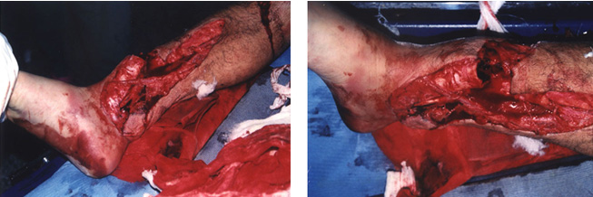 首页- 平博pinnacle888公司官网