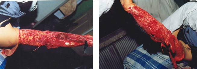 首页- 平博pinnacle888公司官网