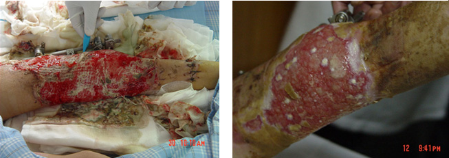 首页- 平博pinnacle888公司官网