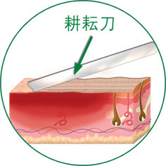 首页- 平博pinnacle888公司官网
