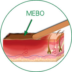 首页- 平博pinnacle888公司官网