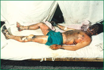 首页- 平博pinnacle888公司官网