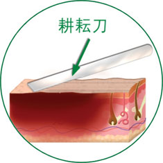 首页- 平博pinnacle888公司官网