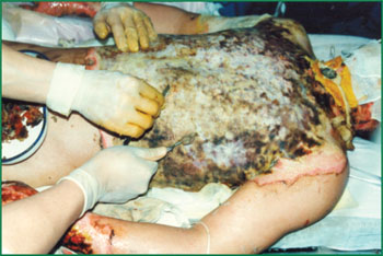 首页- 平博pinnacle888公司官网