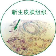 首页- 平博pinnacle888公司官网