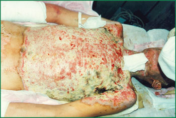 首页- 平博pinnacle888公司官网