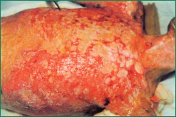 首页- 平博pinnacle888公司官网