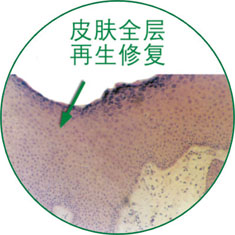 首页- 平博pinnacle888公司官网