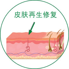 首页- 平博pinnacle888公司官网