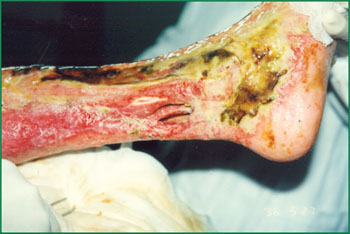 首页- 平博pinnacle888公司官网