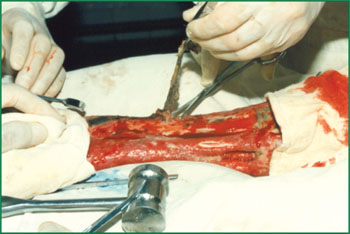 首页- 平博pinnacle888公司官网