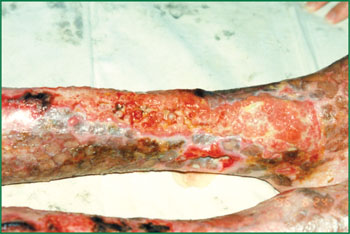 首页- 平博pinnacle888公司官网