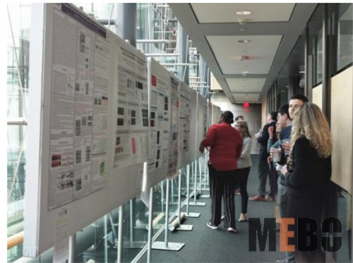 首页- 平博pinnacle888公司官网