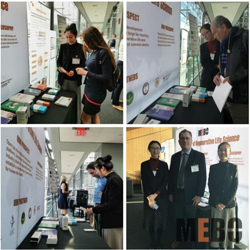 首页- 平博pinnacle888公司官网