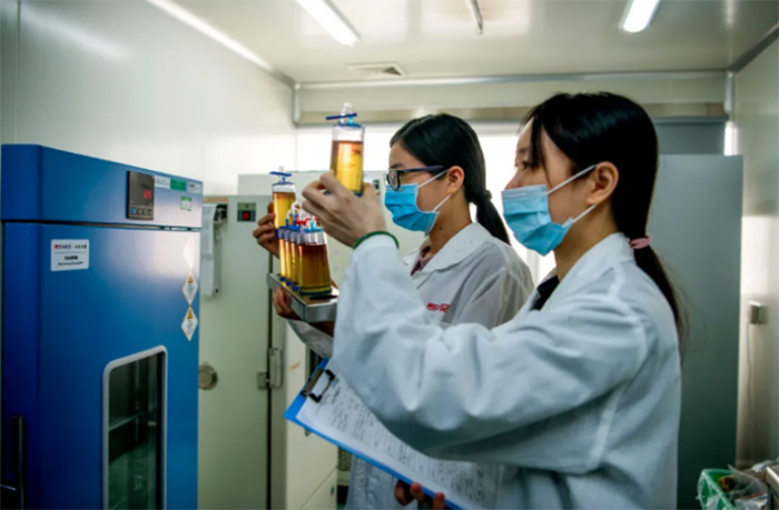 首页- 平博pinnacle888公司官网