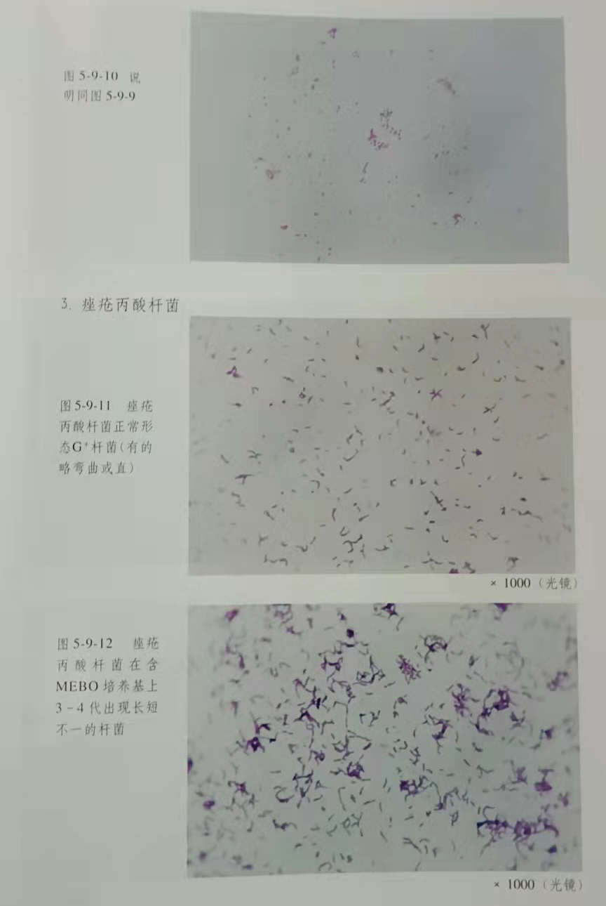 首页- 平博pinnacle888公司官网