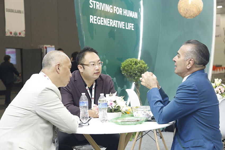 首页- 平博pinnacle888公司官网