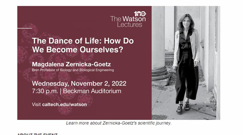 首页- 平博pinnacle888公司官网