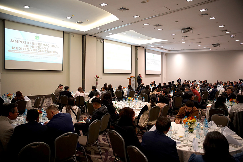 首页- 平博pinnacle888公司官网