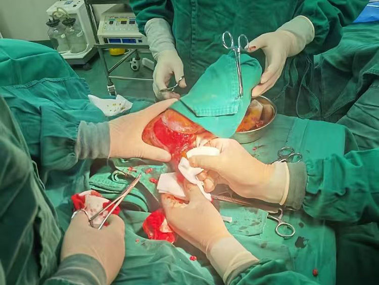 首页- 平博pinnacle888公司官网