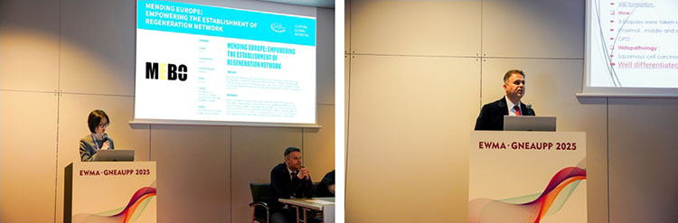 首页- 平博pinnacle888公司官网