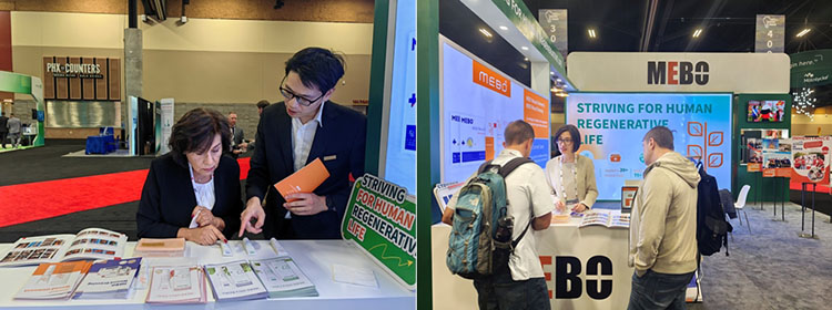 首页- 平博pinnacle888公司官网