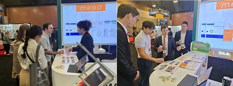 首页- 平博pinnacle888公司官网