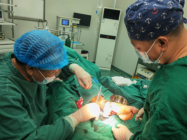 首页- 平博pinnacle888公司官网