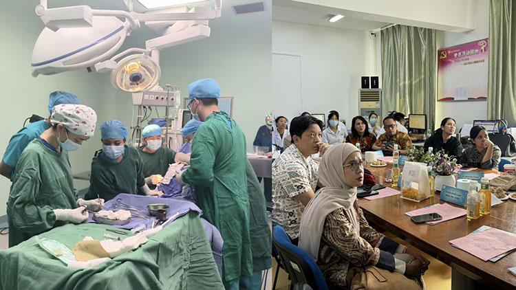 首页- 平博pinnacle888公司官网