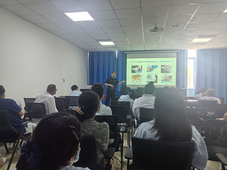 首页- 平博pinnacle888公司官网