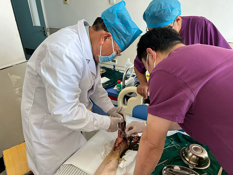 首页- 平博pinnacle888公司官网