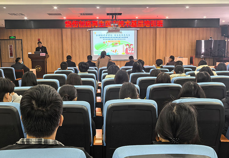 首页- 平博pinnacle888公司官网